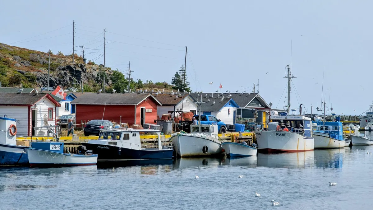 Cape Spear, Southern Shore and Bell Island photo 3