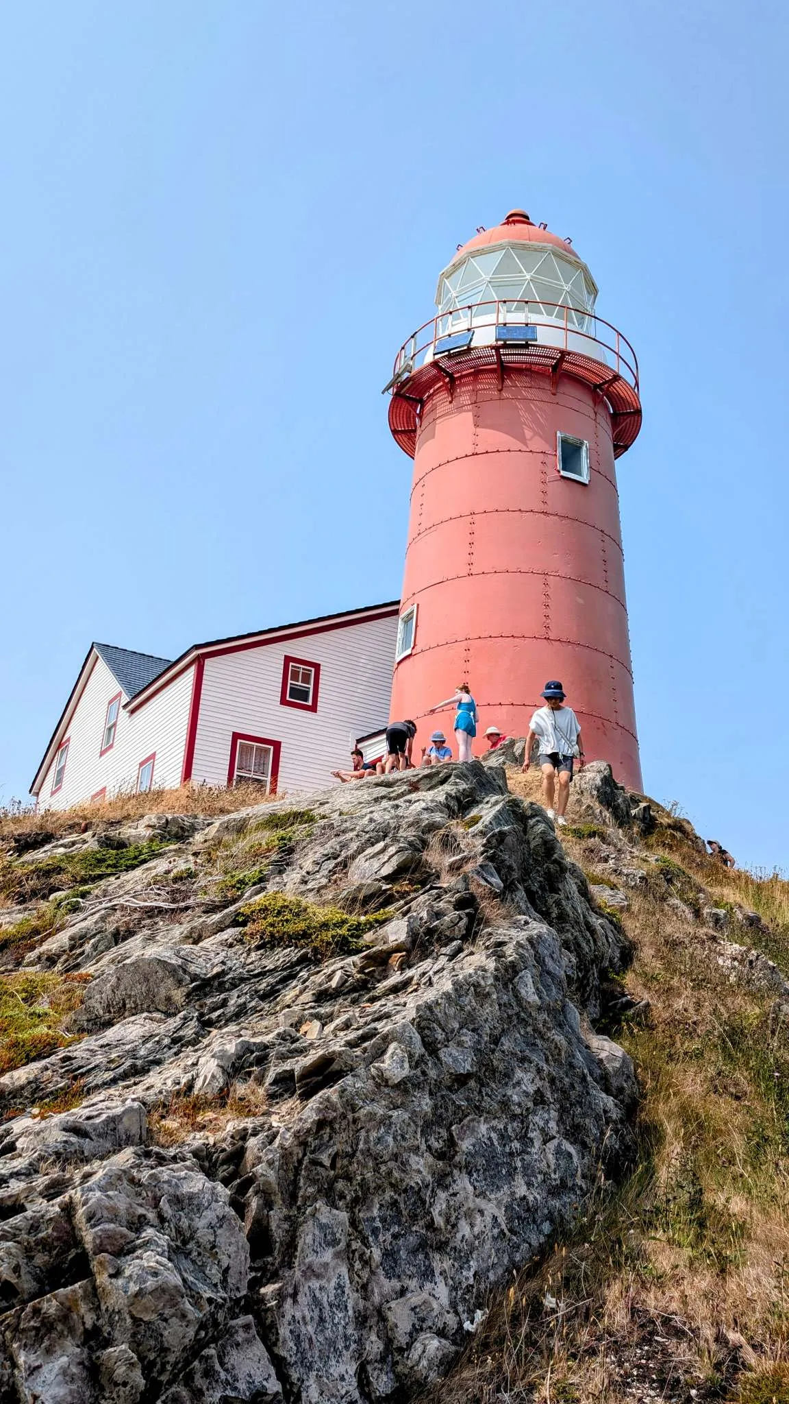 Cape Spear, Southern Shore and Bell Island photo 4
