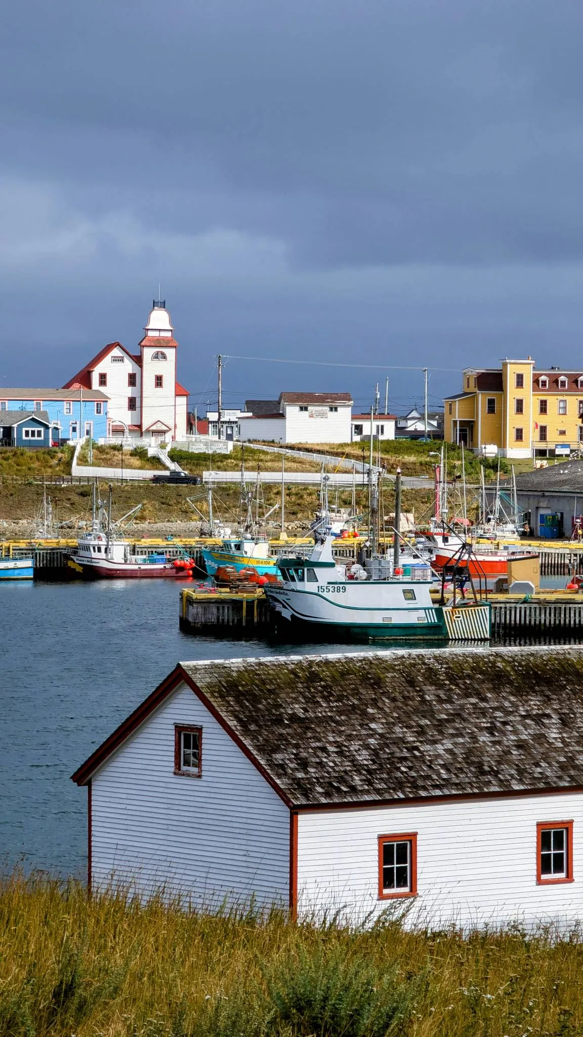 Trinity and the Bonavista Peninsula photo 4
