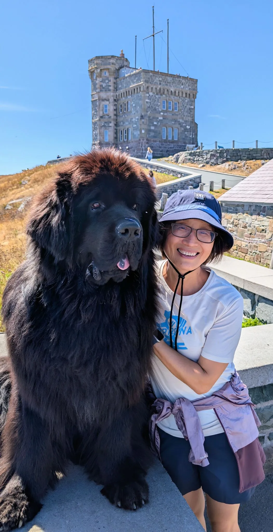 Extra days in St. John's photo 4