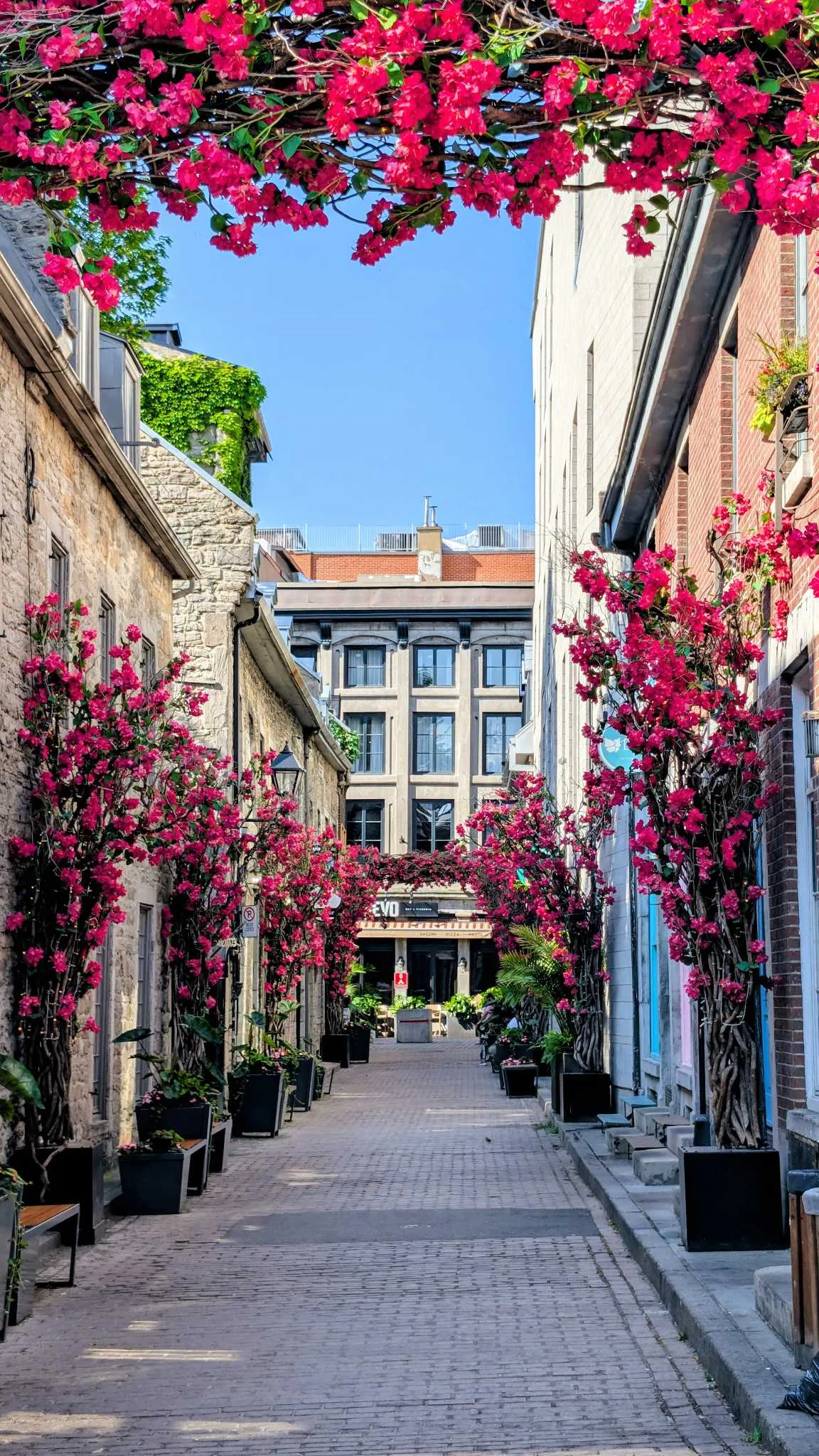 Old Montreal photo 2