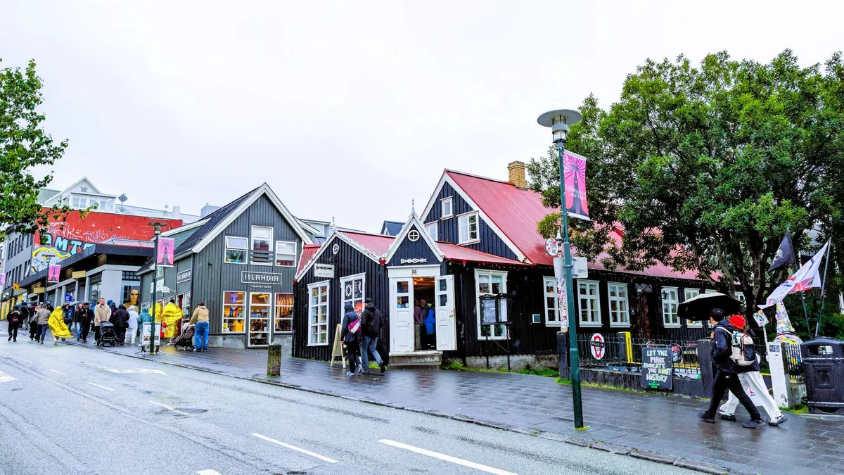 Reykjavík and the Golden Circle photo 2